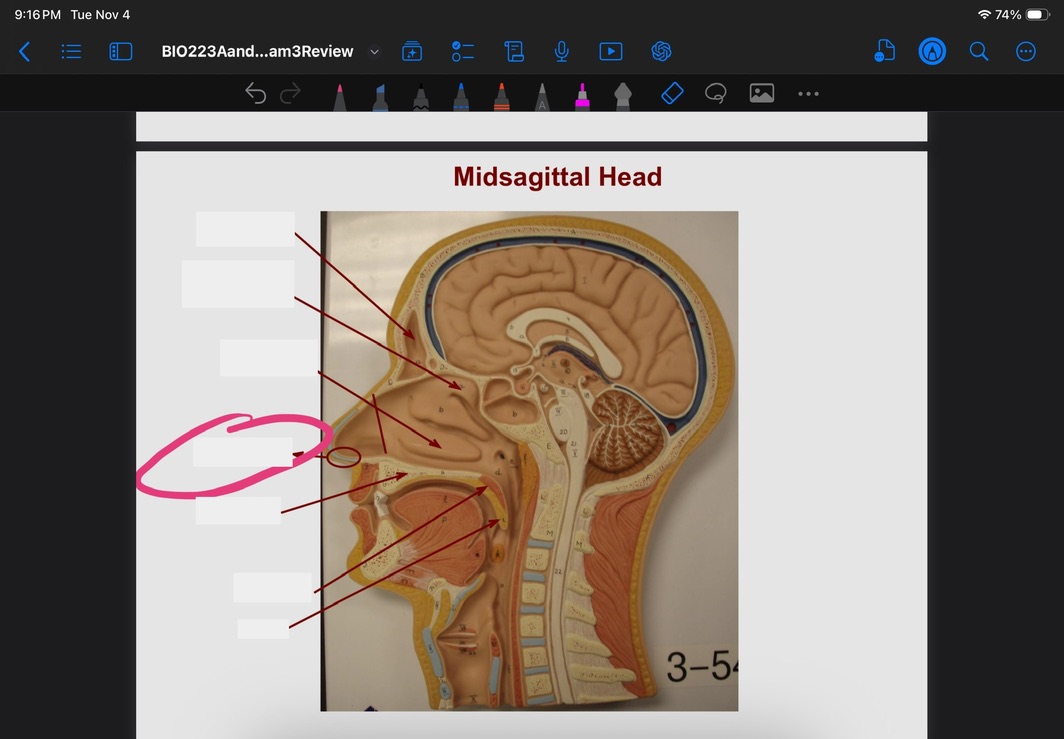 <p>What is this?</p>