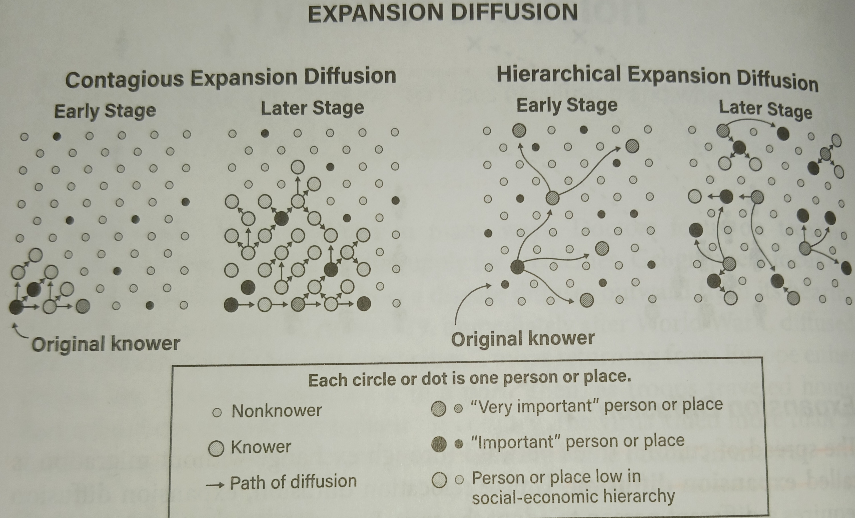 <p>The spread of ideas, behaviors, or culture traits from one place to another through contact and exchange.</p>