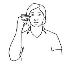 term image