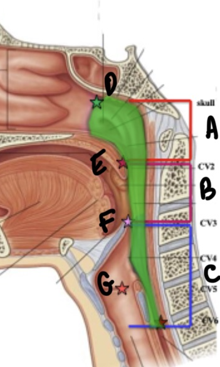 <p>What is G?</p>