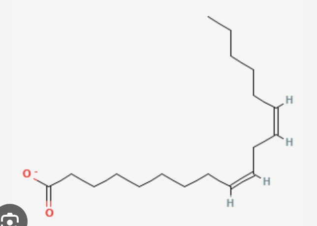 <p>18 carbons, 2 double bonds at carbons 9 and 12</p><p>polyunsaturated fatty acid</p><p>cis,cis-∆9,∆12-octadecadienoate</p>