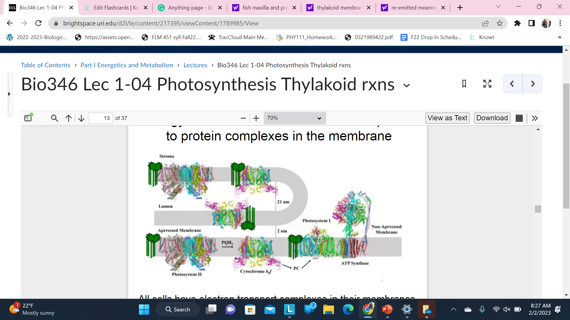 All cells have electron transport complexes in their membranes