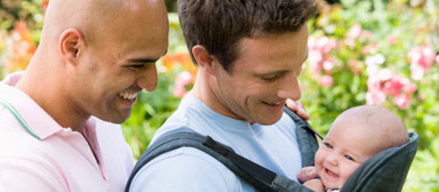 <p>homosexual family</p>