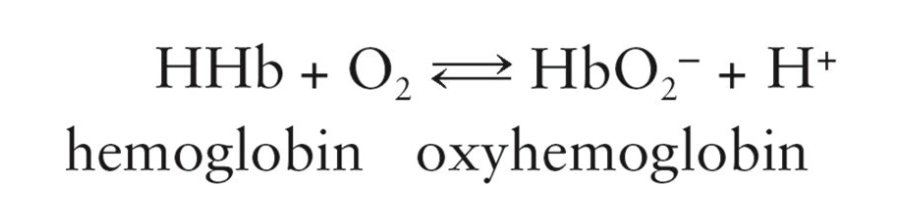 <p>Oxygen-hemoglobin combination</p>