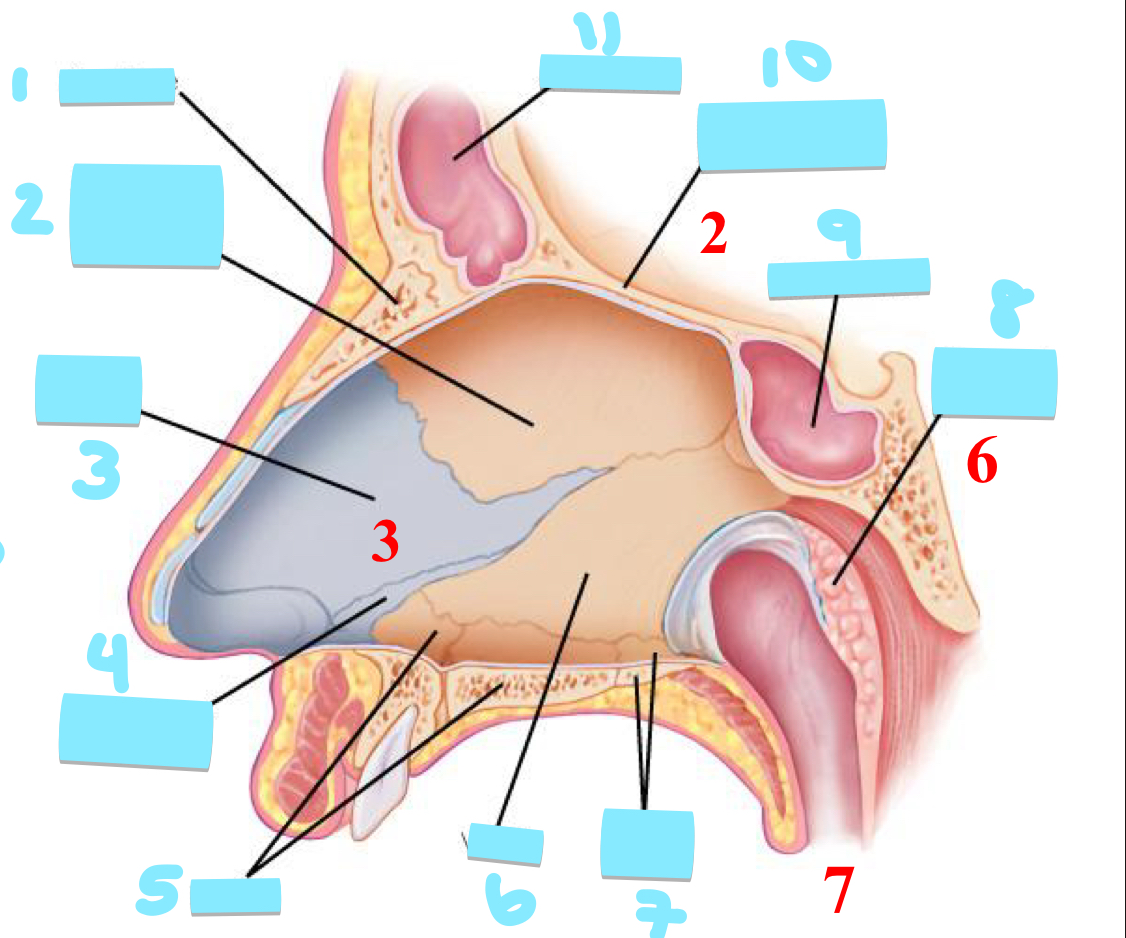 <p>7</p>