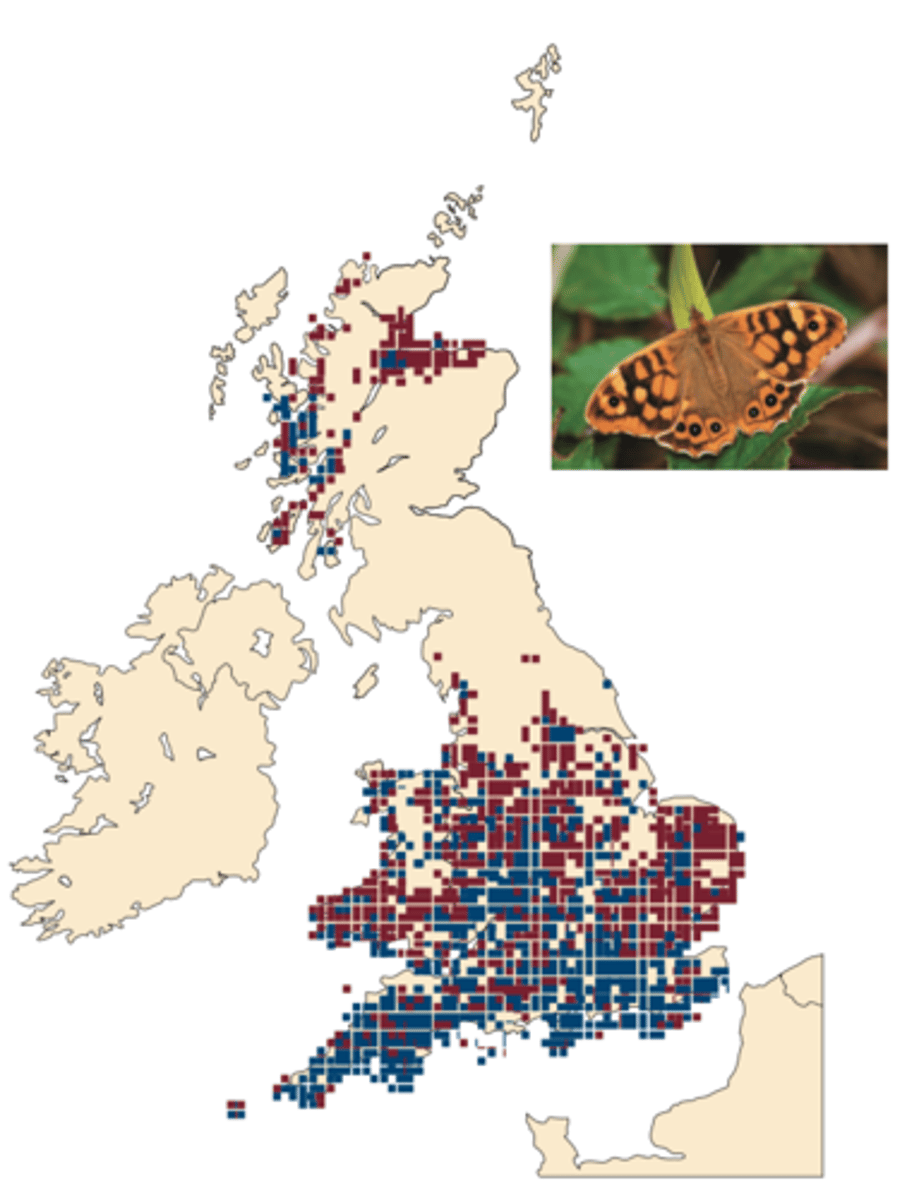 <p>MAIN GOAL:</p><p>- analyze distribution over the past century for nonmigratory species of butterflies</p><p>-----------------</p><p>RESULTS:</p><p>- 65% of the species studied, moved north in the past 30 to 100 years</p><p>- the southern boundaries have remained stable or retracted northward</p>