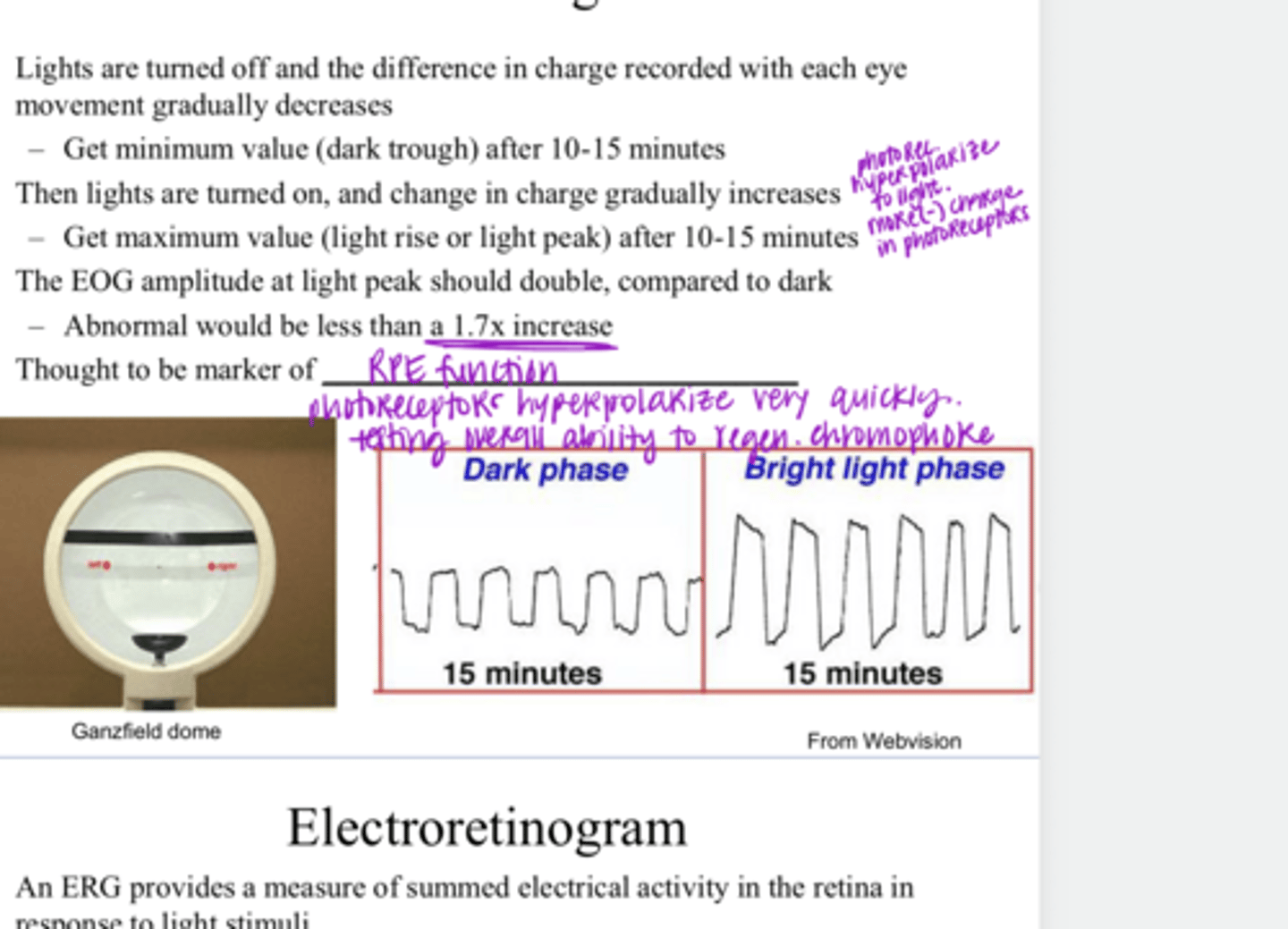 <p>You will get a minimum value for electrical charge difference (dark trough) after approx how many minutes in the dark?</p>