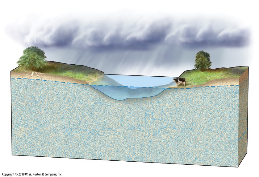 <p>what is the position of the water table for a lake?</p>