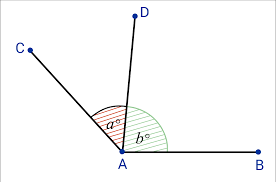 <p>Adjacent angles</p>