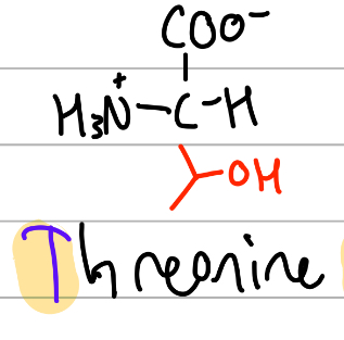 <p>CH-(OH)(CH3);</p><p>T = alphabetically first T, THREE (CH3) O (OH);</p><p>polar, uncharged, Hphilic</p>