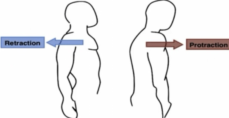 <p>movement of a structure to be drawn in the anterior direction (drawn forward)</p>