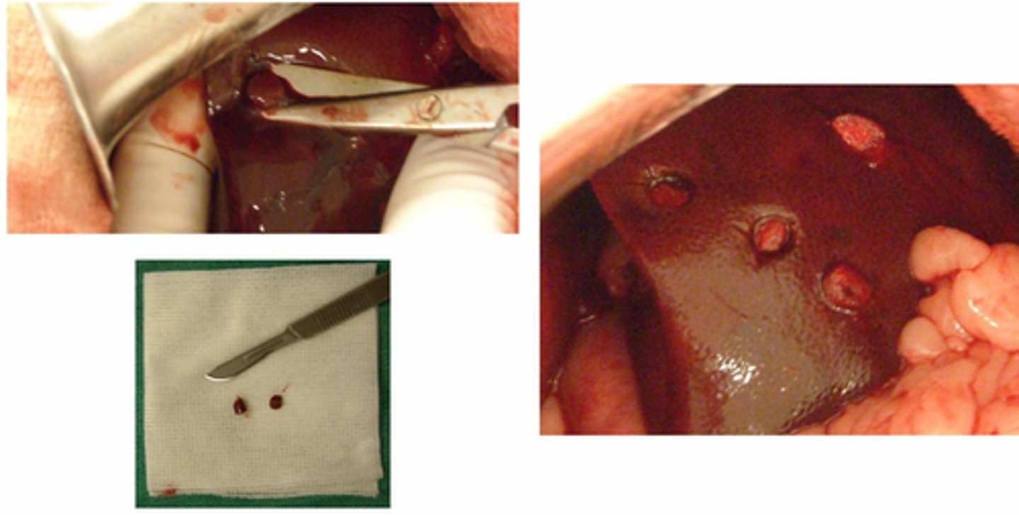 <p>What is demonstrated here?</p>