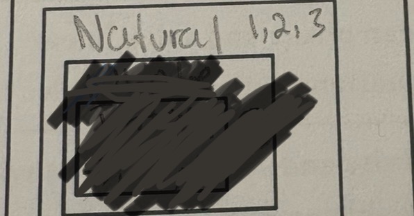 <p>Natural numbers </p>
