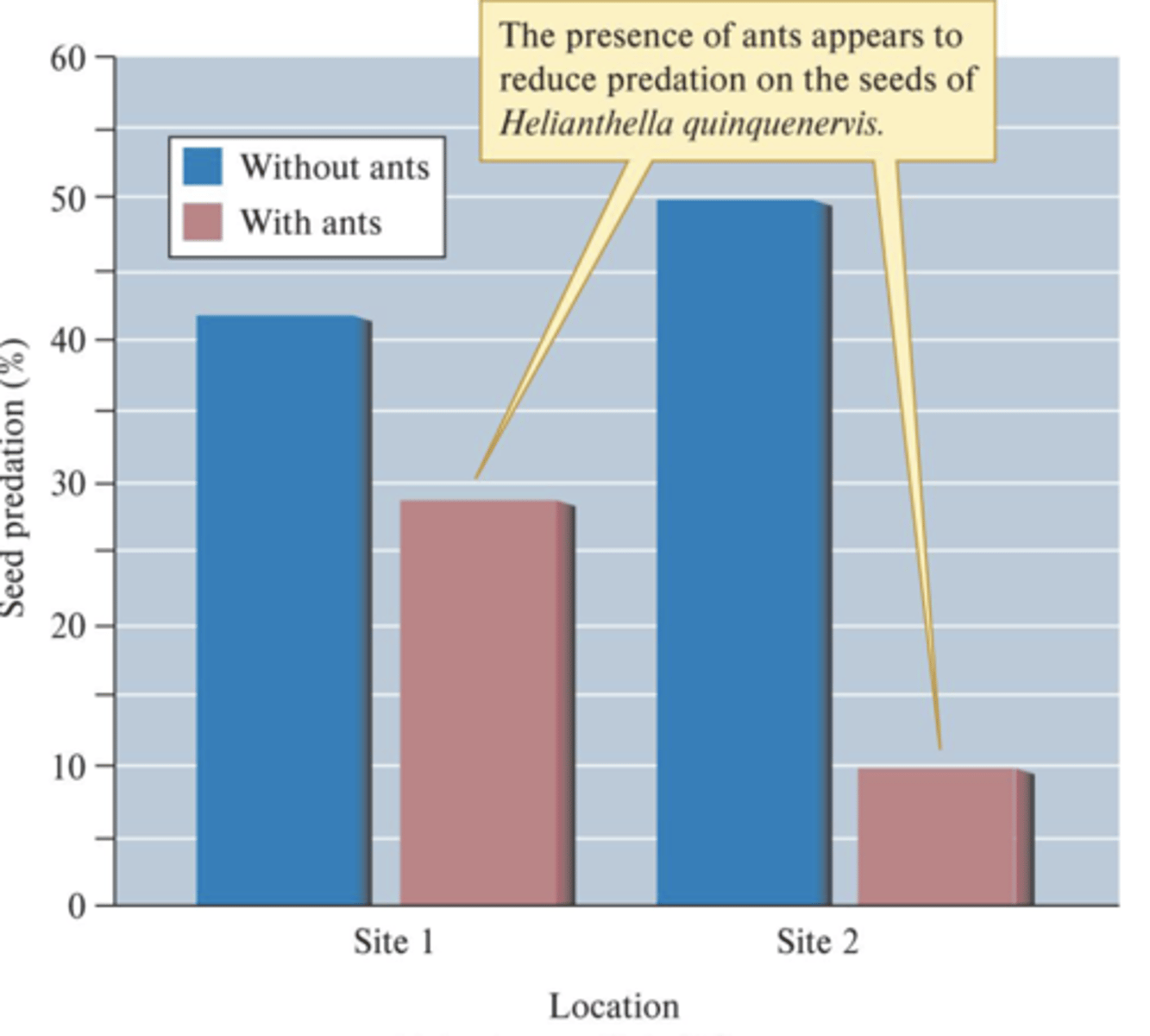 <p>- Proposed ants may protect sunflower's developing seeds from seed predators (predators damaged over 90% of seeds produced by some flowers)</p><p>- Found flowers without ants suffered 2 to 4x more seed predation; excluding ants caused more seed predation</p><p>- Relationship is facultative; flowers are susceptible to frost, so it's not a reliable nectar source for ants</p>