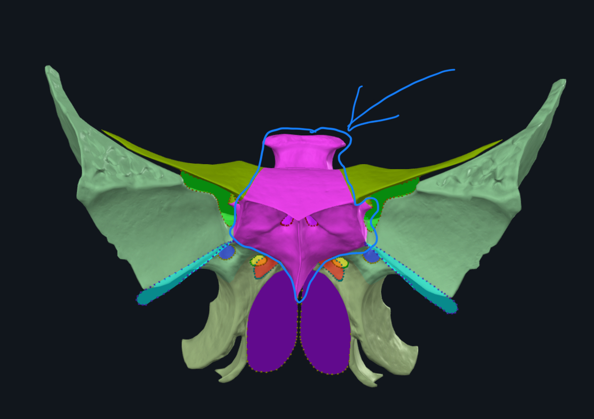 <p>what is this?</p>