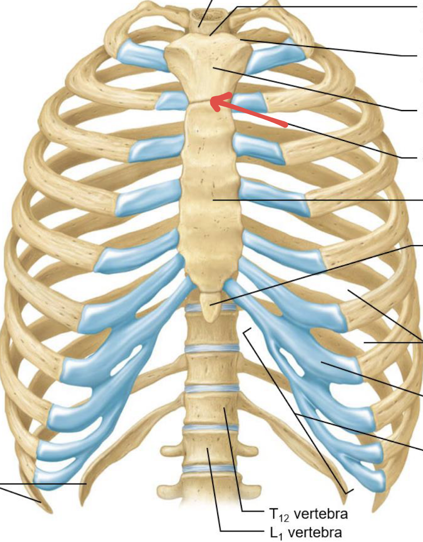 <p>what is this?</p>