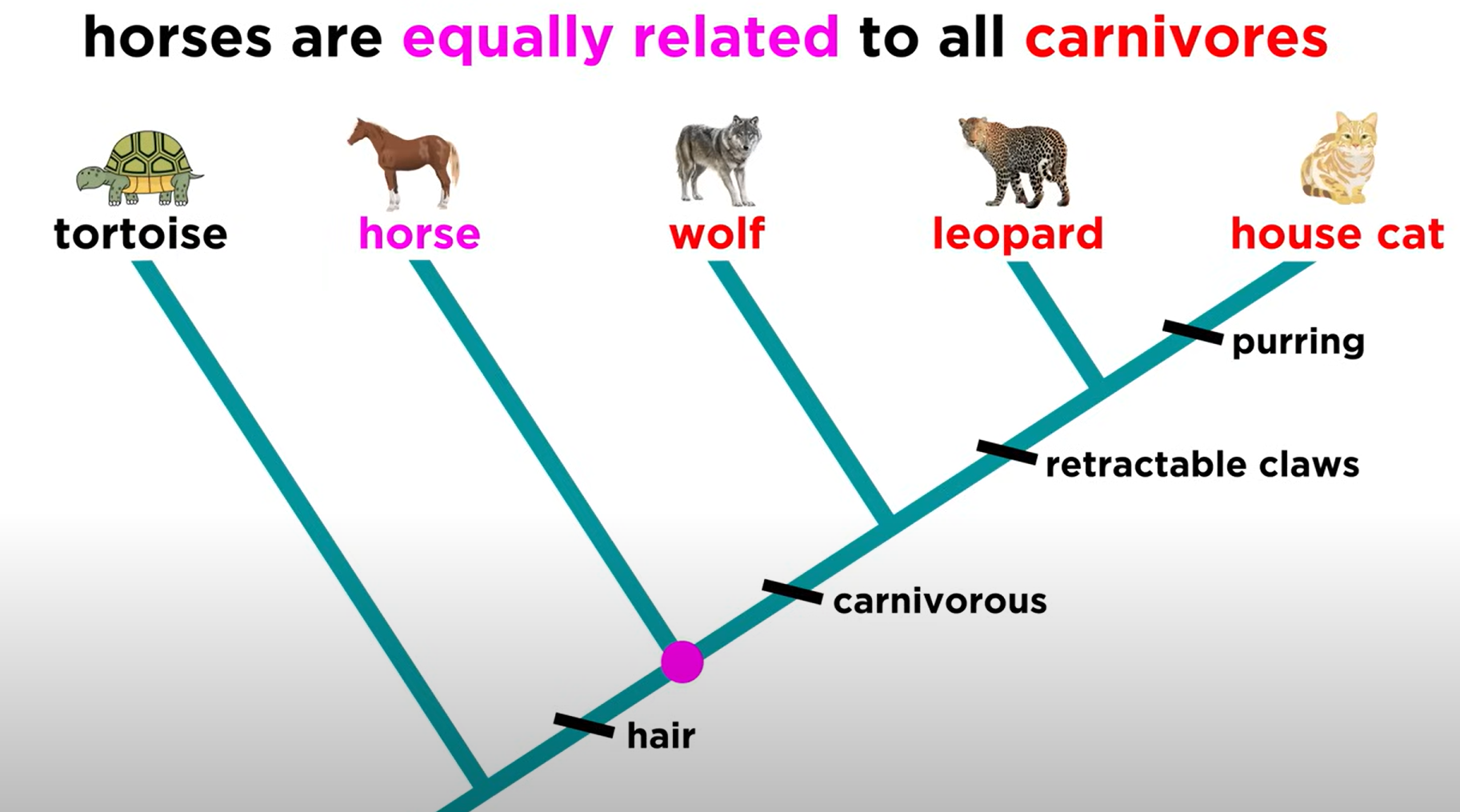 <p>right, equally</p>