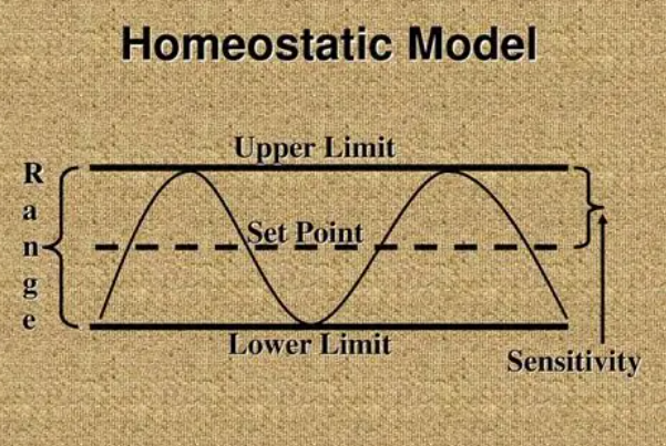 <p><span style="font-family: Calibri, sans-serif; line-height: 115%;"><strong><span>Set point</span></strong></span></p>