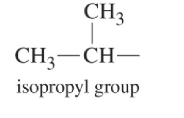 <p>isopropyl group- three carbons</p>