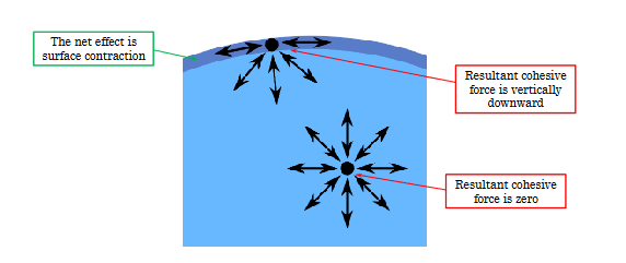 <p>Minimize surface area to volume ratio</p>