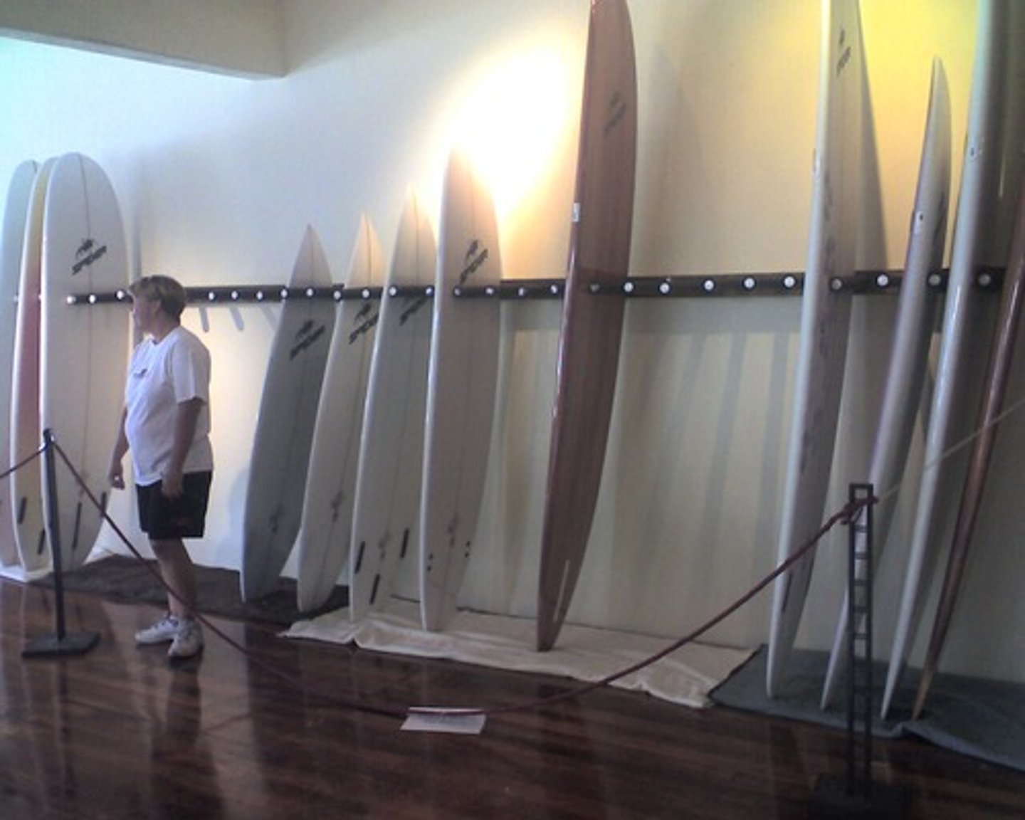 <p>la tabla de surf</p>