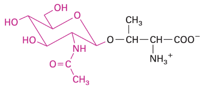 <p>placeholder for S/T phosphorylation sites</p><p>preference for intrinsically disordered domains with defects that impact cellular processes</p>