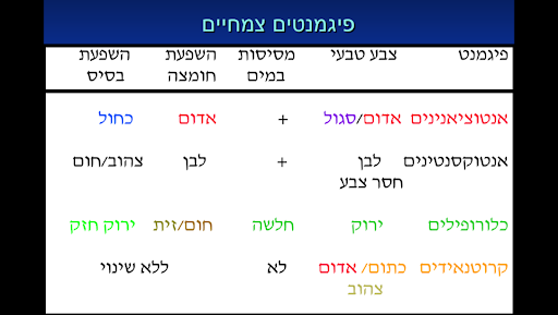 <p>לא נכון!<br>כלורופילים אכן פחות מסיסים במים<br>וקרוטנואידים לא מסיסים במים<br>אך אנטוציאנינים אכן מסיסים במים.</p>