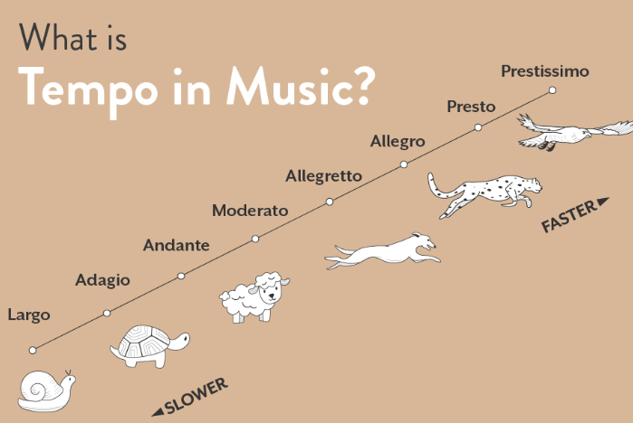 <p>Tempo</p>