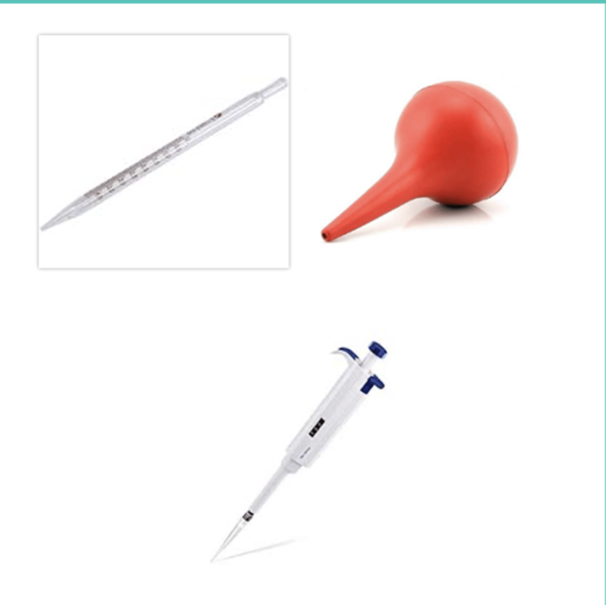 <p>Small tubes that transfer liquids from one container to another in exact and measurable amounts (w/rubber aspirator)</p>