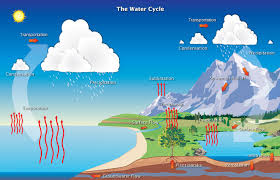 <p>What is this a diagram of?</p>