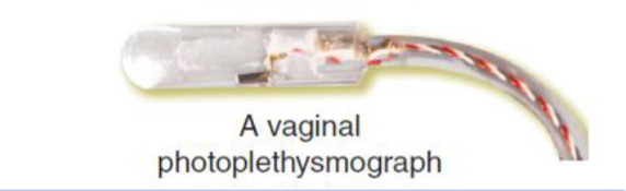 <p>Vaginal photoplethysmograph</p>