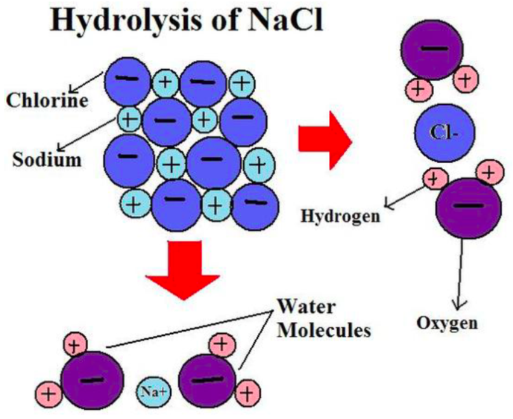<p>hydrolysis </p>
