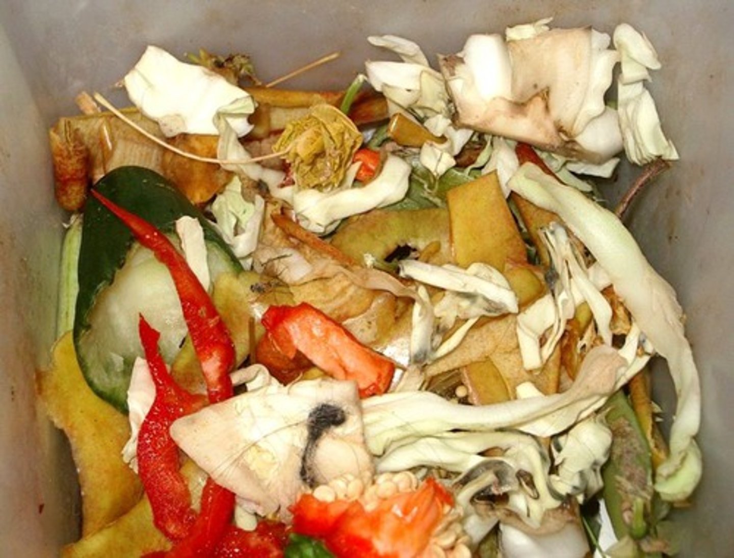 <p>có thể phân hủy sinh học (Use biodegradable bags to reduce plastic waste.)</p>
