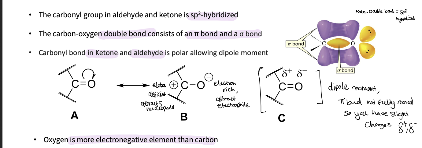 <ul><li><p>in an aldehyde and ketone it is sp2 hybridized&nbsp;</p></li><li><p>The carbon-oxygen double bond consists of an π bond and a <span>σ bond</span></p><p class="p2"><span>• </span>Carbonyl bond in Ketone and aldehyde is polar allowing dipole moment ( the π bond isn’t fully moved so you have slight charges )</p></li><li><p class="p2">as oxygen is more electronegative than carbon&nbsp;</p></li></ul><p></p>