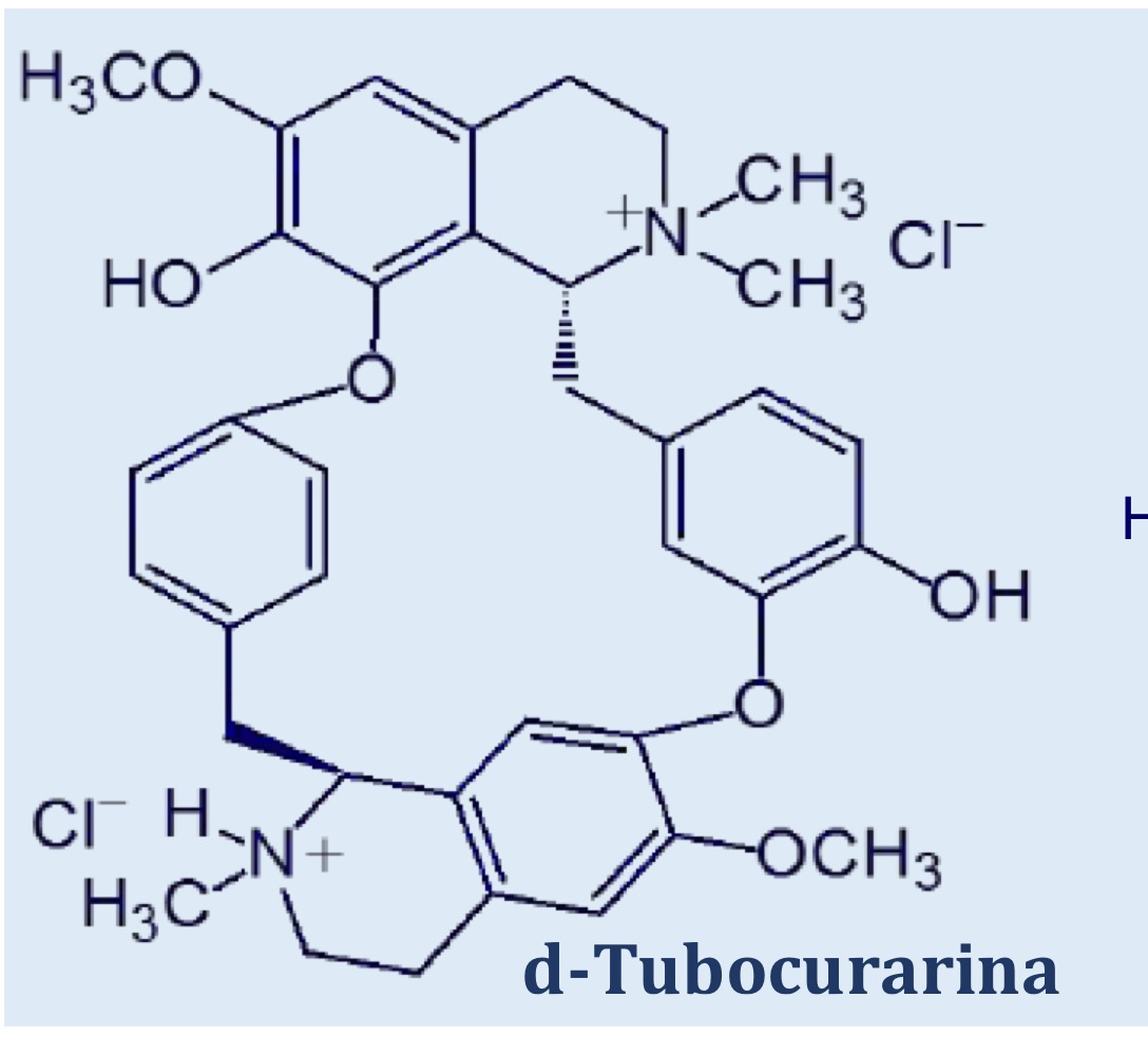 <p>Riconosci questa molecola e spiega le sue caratteristiche</p>