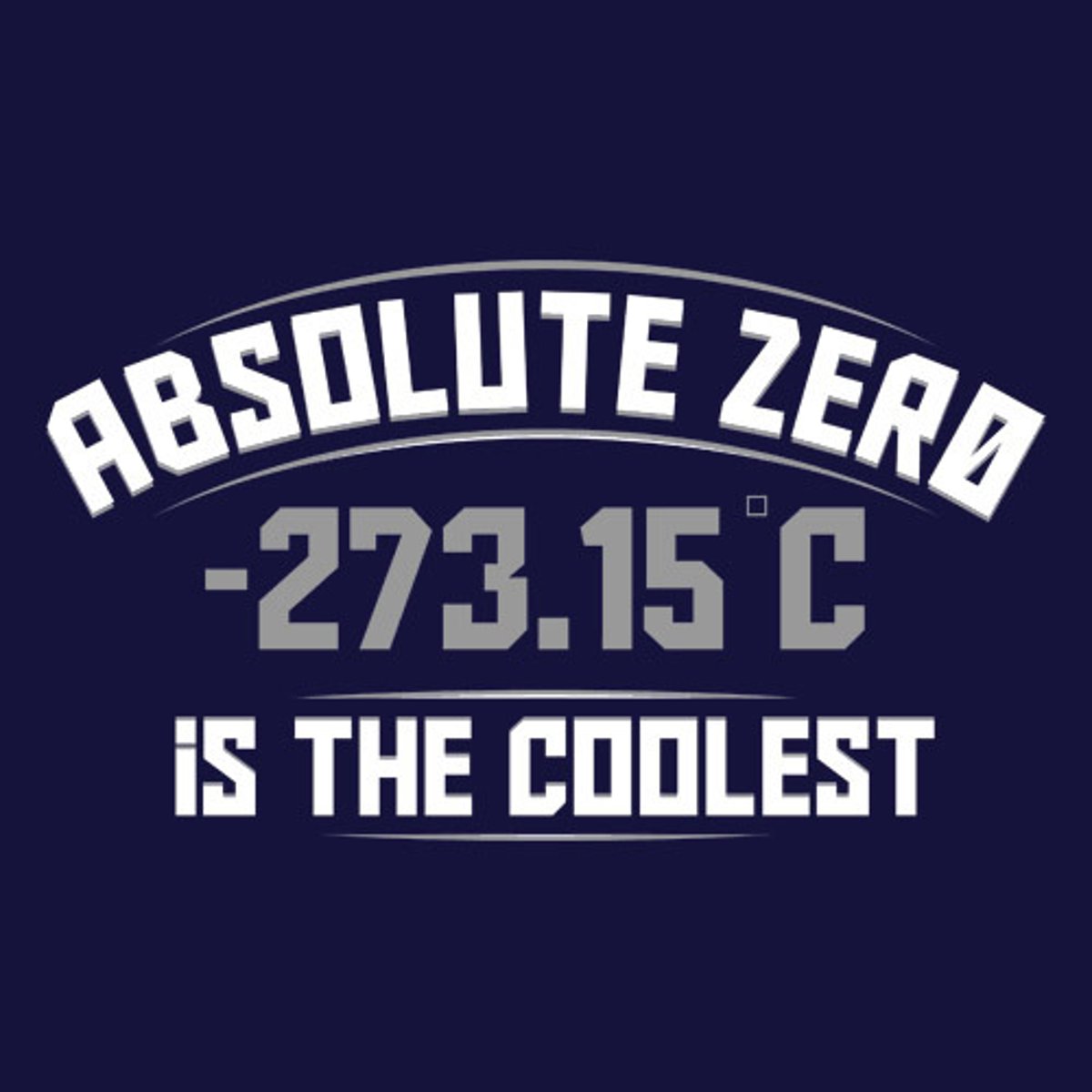 <p>The coldest temperature, 0 Kelvin, that can be reached. It is the hypothetical temperature at which all molecular motion stops.</p>
