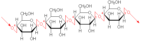 <p>Chemical bond between hexose sugars where the OH- groups alternate at 1' and 4' with an H</p>