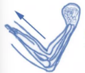 <p>muscle shortens</p><p>produces tension while shortening to overcome external resistance</p>