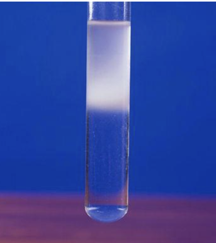 <p>a white emulsion is formed</p>