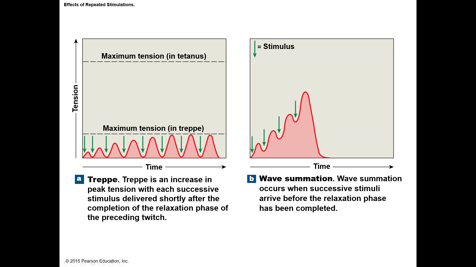 Increasing tension or summation of twitches 
Repeated stimulations before the end of relaxation phase
-Stimulus frequency <50/second
Causes increasing tension or summation of twitches