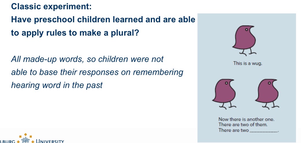 <p>Overregulation (around 3 years): overgeneralising global rules about past tense/plural.</p><p>→ Good sign, indication that they are mastering new rules ex. I swimmed</p>