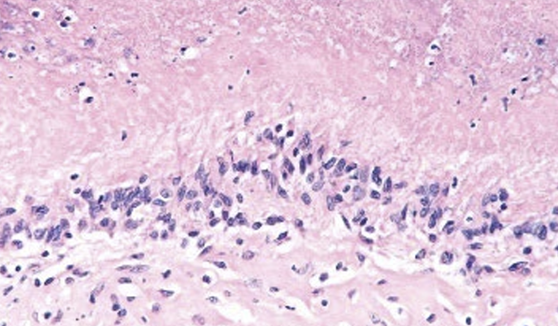 <p>What does this show</p>