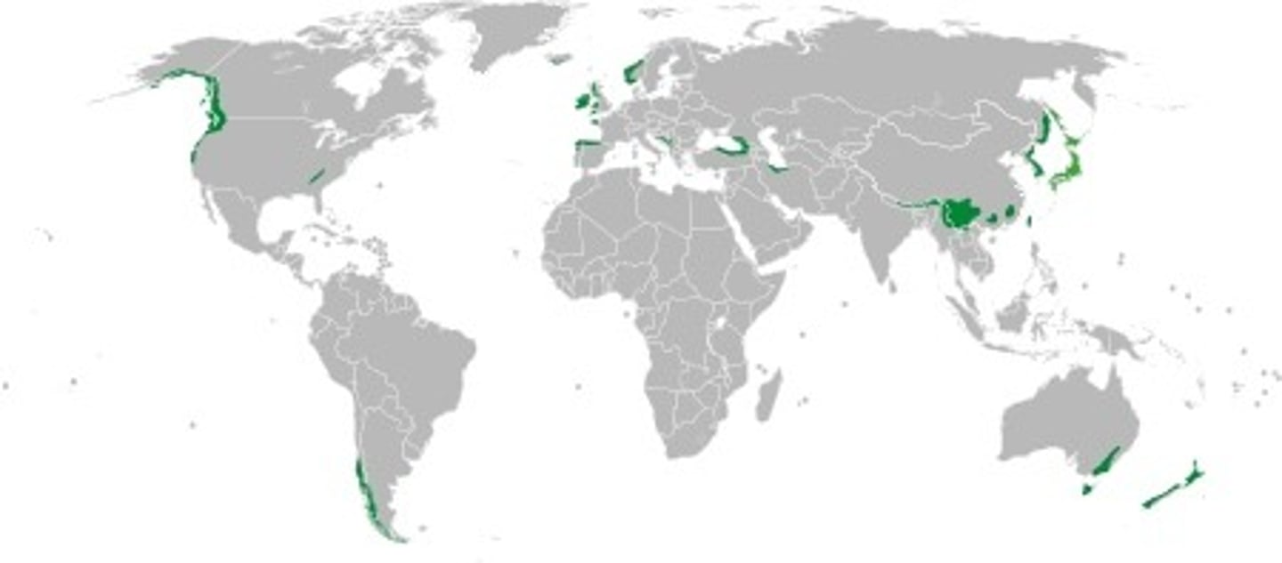 <p>Pacific coast N America and SE coast of South America</p>