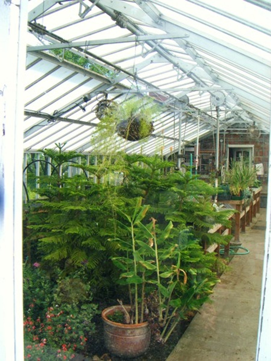 <p>What type of heat transfer occurs in a greenhouse?</p>