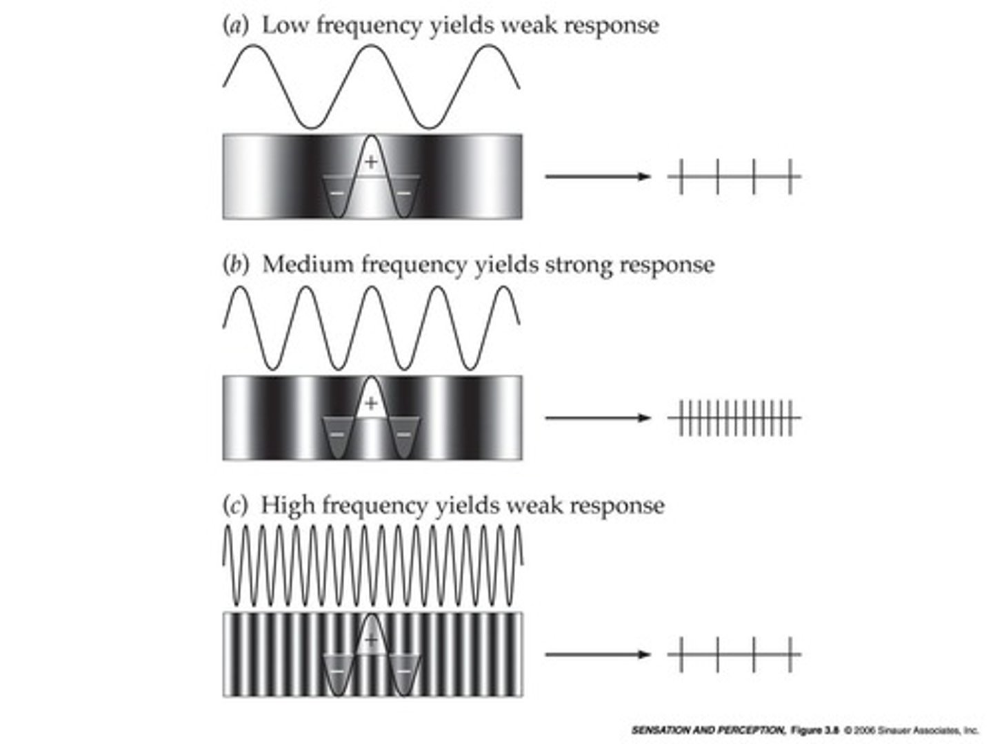 <p>A high pass filter allows high spatial frequencies to pass while filtering out low spatial frequencies.</p>