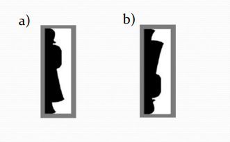 <ul><li><p>People also used past experience to segregate overlapping objects</p></li><li><p>What letters do you see below?</p></li><li><p>You use your knowledge of letters to segregate these two letters into separate objects</p></li><li><p>As a) is in a familiar orientation it is easier to segregate it from the background than in b)</p></li><li><p>Once you have seen the Dalmatian you cannot “unsee” it. (seen in an image which isn’t included)</p></li><li><p>That knowledge even survives when the image is flipped left to right</p></li></ul><p></p>
