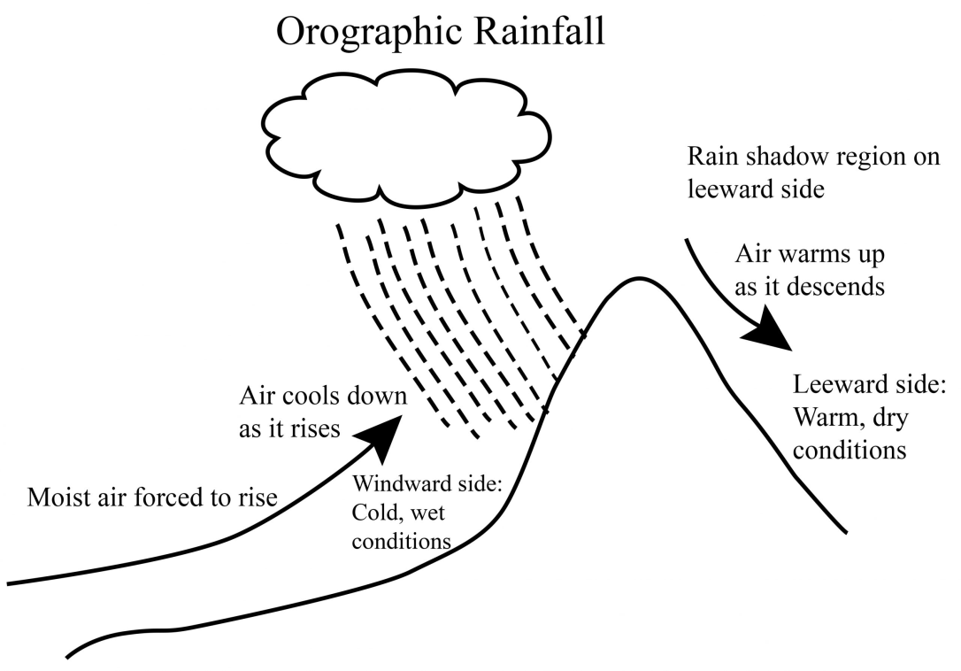 <p>Warm, moist air travels from the ocean and is forced upwards when it hits a mountain.</p><p>As it rises, the moisture condenses into rain that falls on the coastal side of the mountain.</p>