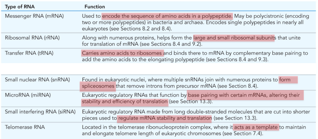 <p>Used to encode the sequence of amino acids in a polypeptide </p>