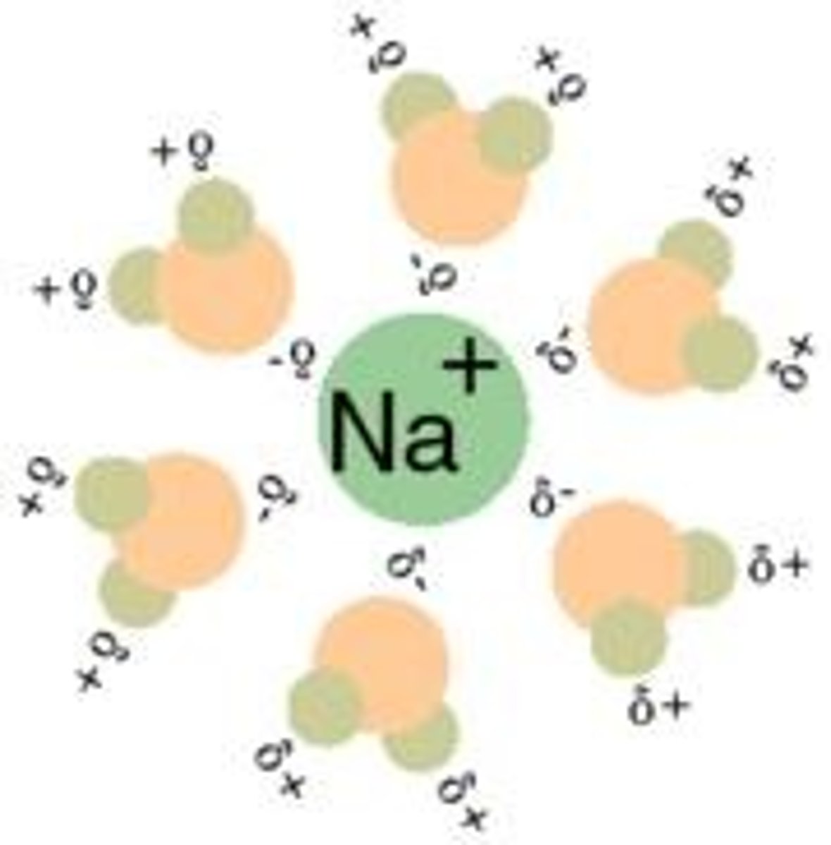 <p>H2O would dissolve NaCl the best due to its high polarity.</p>