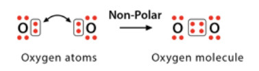 <p><span>electrons are </span><strong><span>equally</span></strong><span> shared between two atoms so the atoms remain </span><strong><span>neutral</span></strong><span> in charge</span></p>